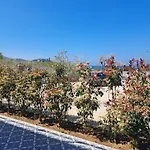 Bed and breakfast Paoma